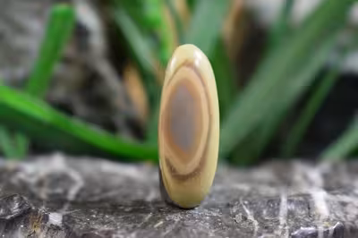 امپریال جاسپر