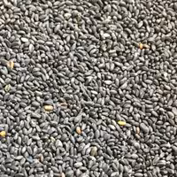 تخم شربتی ریز اصل200 گرم