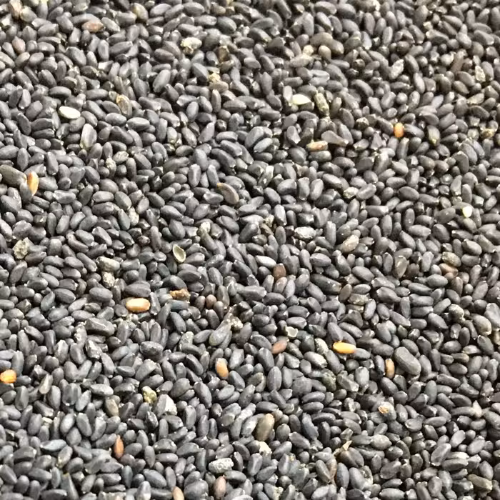 تخم شربتی ریز اصل200 گرم