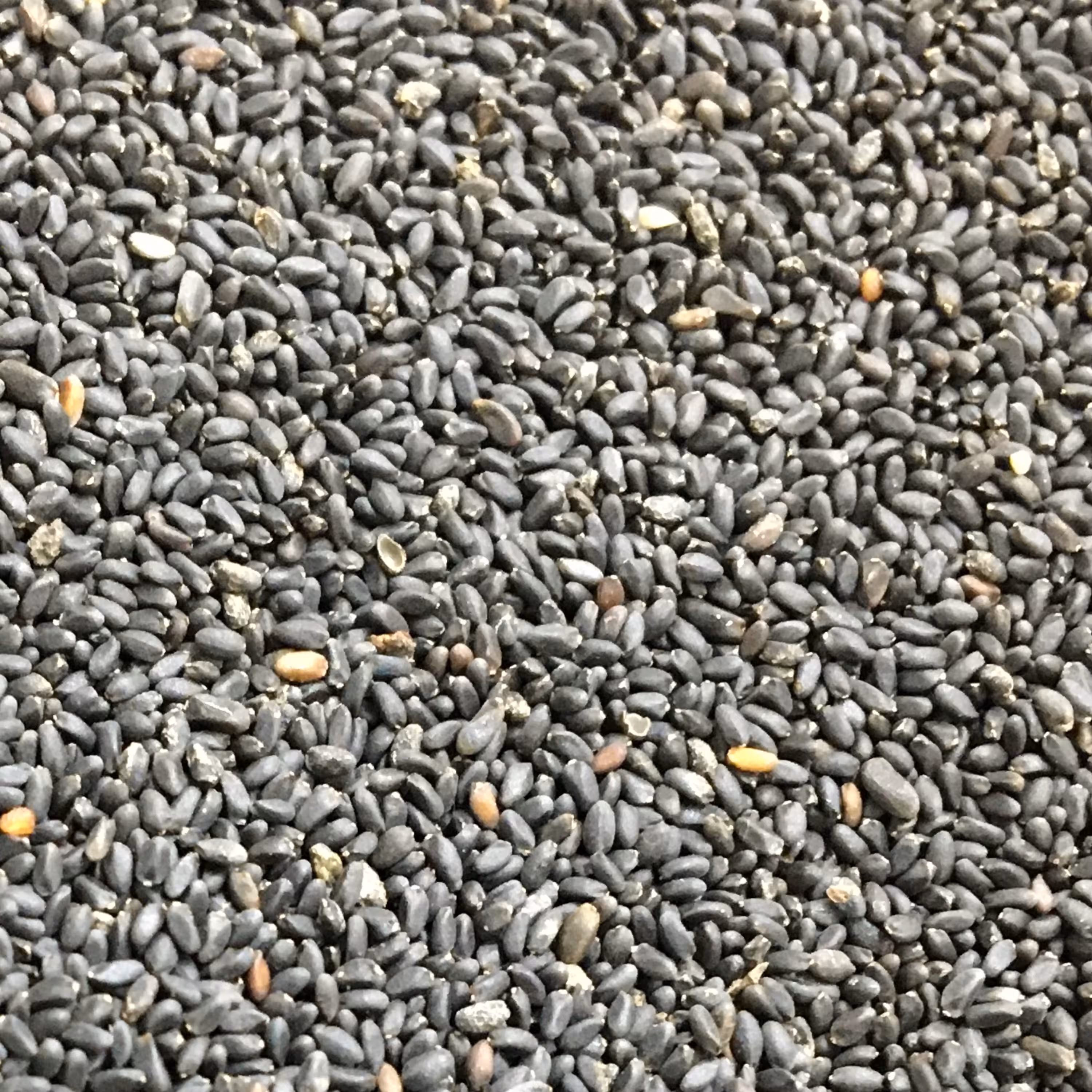 تخم شربتی ریز اصل200 گرم