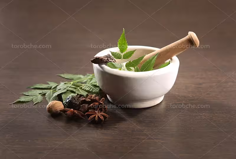 عکس ادویه جات معطر و کاسه چینی | گرافیک با طعم تربچه