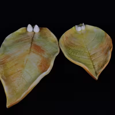 شیرینی خوری سرامیکی هیوا طرح برگ پاییز کد 10918872 مجموعه 2عددی 