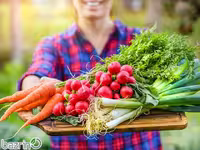 پکیج بذر سبزیجات بهاره