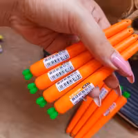 نوک هویجی تپلو