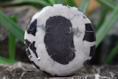 سپتارین مراکش اصل و طبیعی