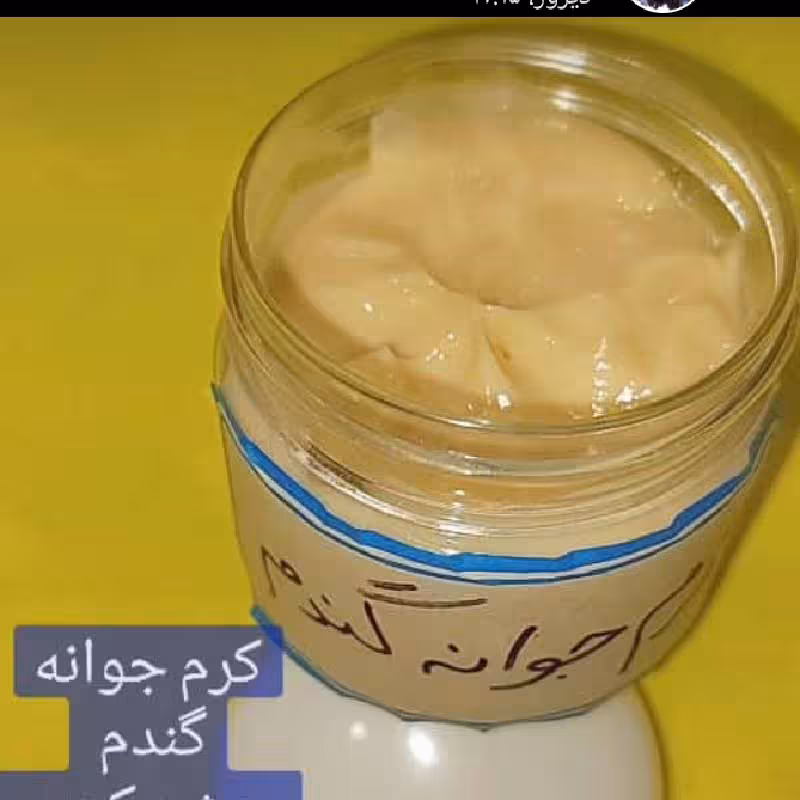 کرم جوانه گندم