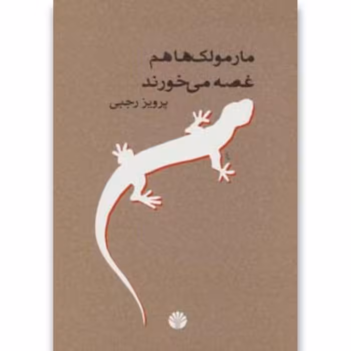 داستان مارمولک ها هم غصه می خورند