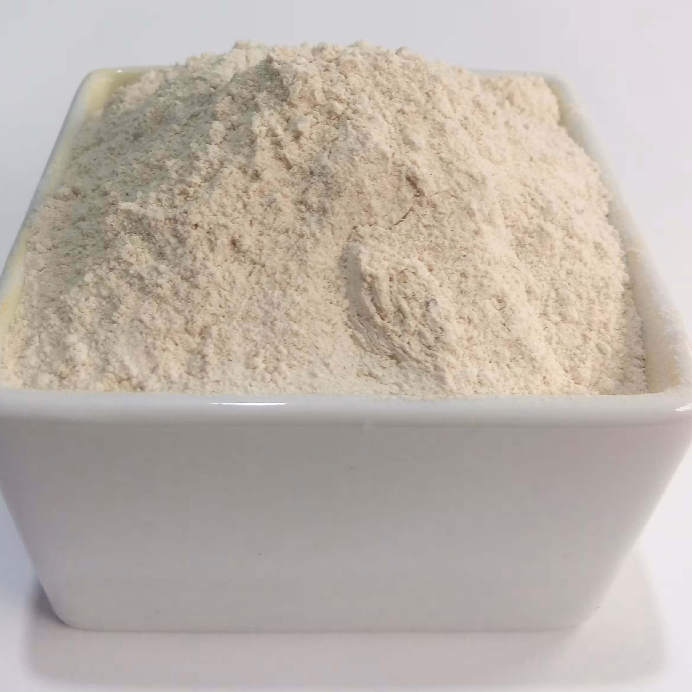 پودر سیر (100)گرمی