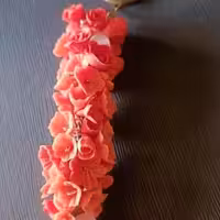 جاسوییچی گل و مهره