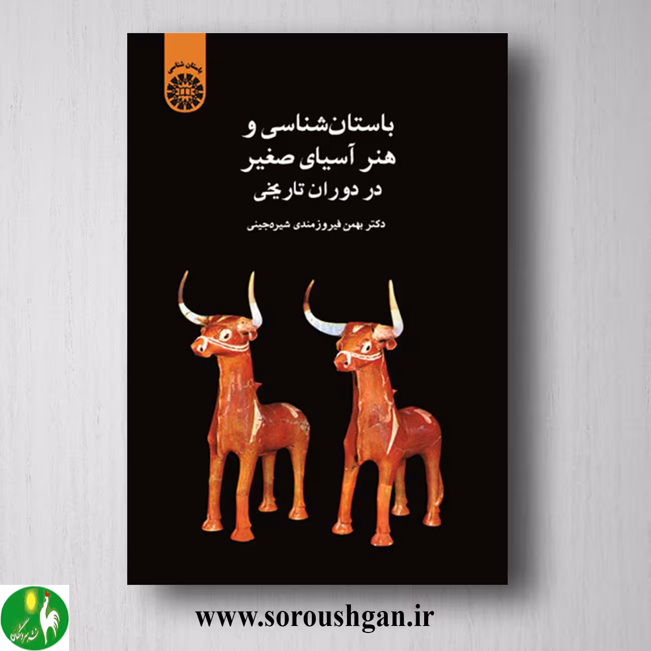 کتاب باستان شناسی و هنر آسیای صغیر در دوران تاریخی؛ بهمن فیروزمندی