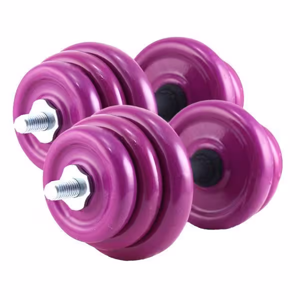 دمبل روکش دار متغیر ده کیلویی بسته دو عددی