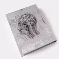 کلاسور 26 حلقه BRAIN دات نوت (dotnote)