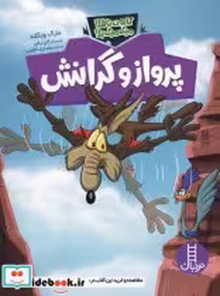 قیمت و خرید کتاب پرواز و گرانش اثر مارک ویکلند | ایده بوک