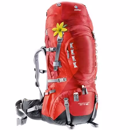 AIRCONTACT PRO 55   15 SL