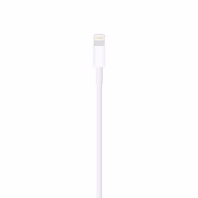 کابل تبدیل USB به لایتنینگ مدل A1480 طول 1 متر