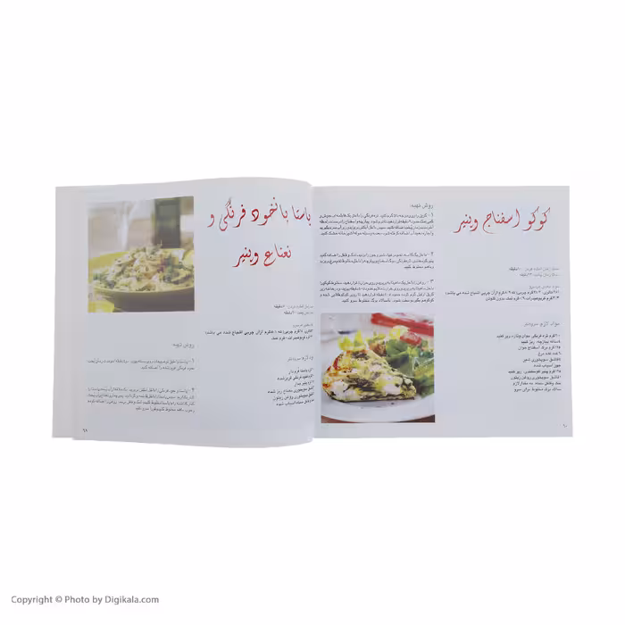 کتاب دنیای هنر آشپزی غذاهای بدون گوشت