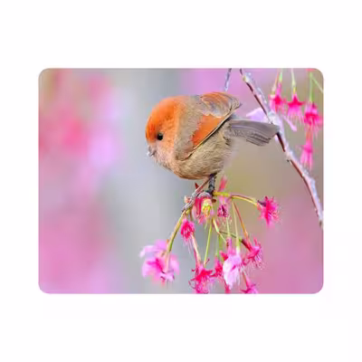ماوس پد طرح پرنده و گل مدل T8086