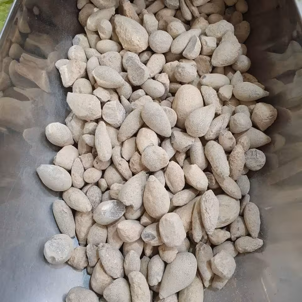 سنگ حجر الیهود 50 گرم مناسب دفع سنگ کلیه و مثانه