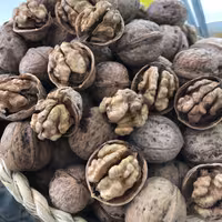 گردو 1402 رسید درشت و کاغذی وزن 400گرمی 