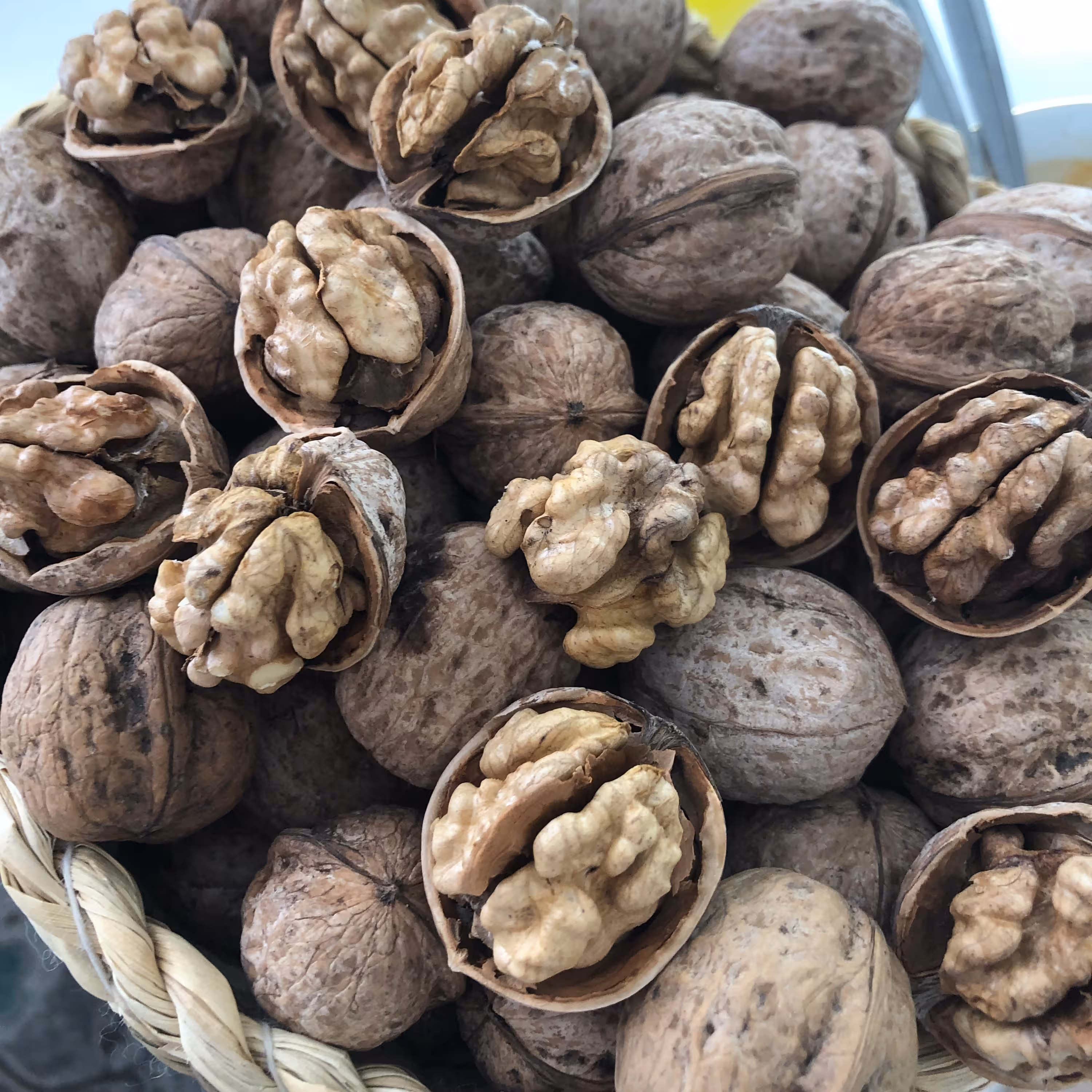 گردو 1402 رسید درشت و کاغذی وزن 400گرمی 