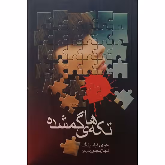 تکه های گمشده