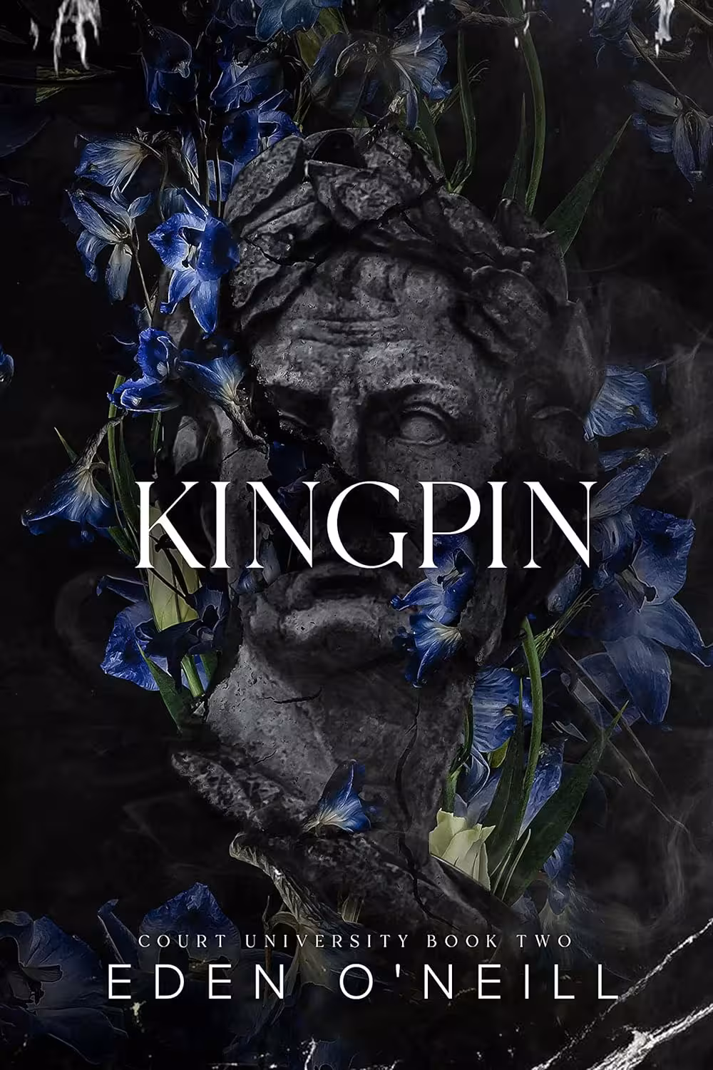 Kingpin (Court University Book 2)