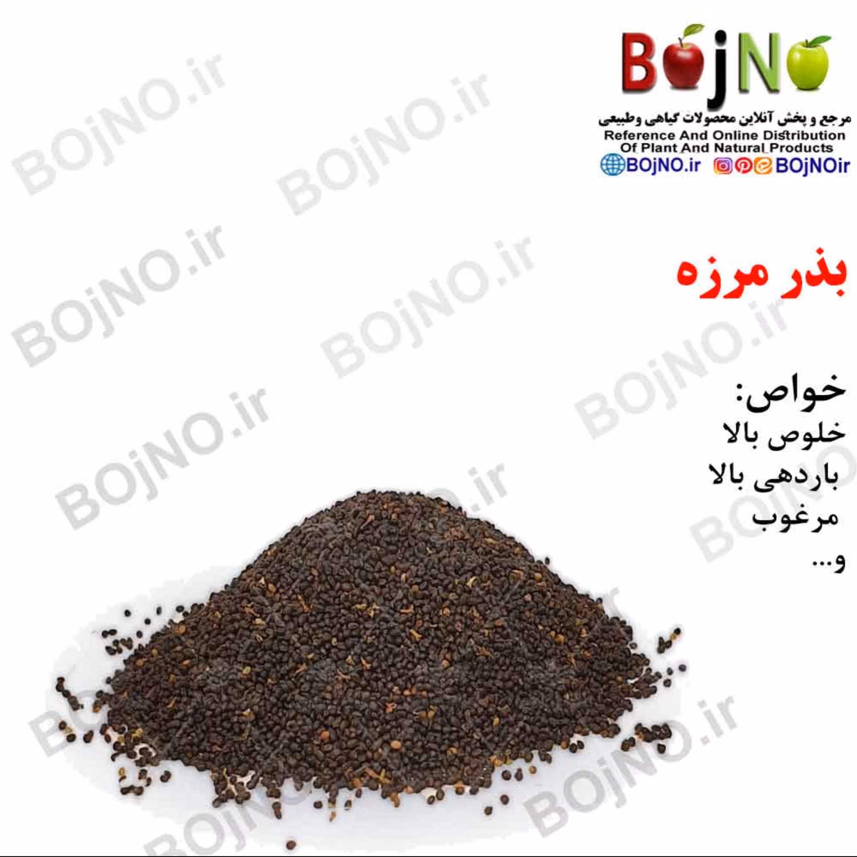 بذر مرزه (بسته 50گرمی)
