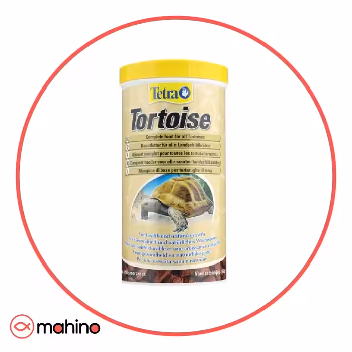 غذا لاک پشت تترا Tetra Tortoise