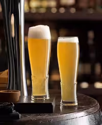 پوپ کرافت پاشاباغچه Craft 4