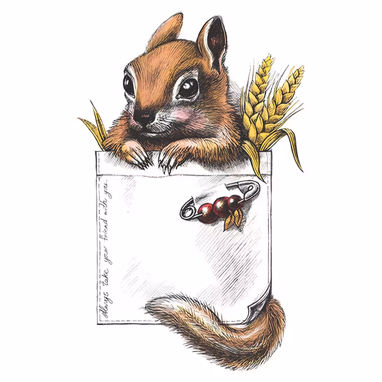 استیکر پارچه و لباس مدل دی تی اف طرح جیبی کد H10.610 مجموعه 5 عددی