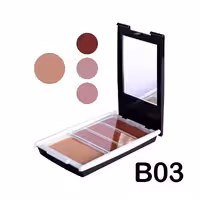 پالت رژگونه و هایلایتر پرامیننت شماره B03