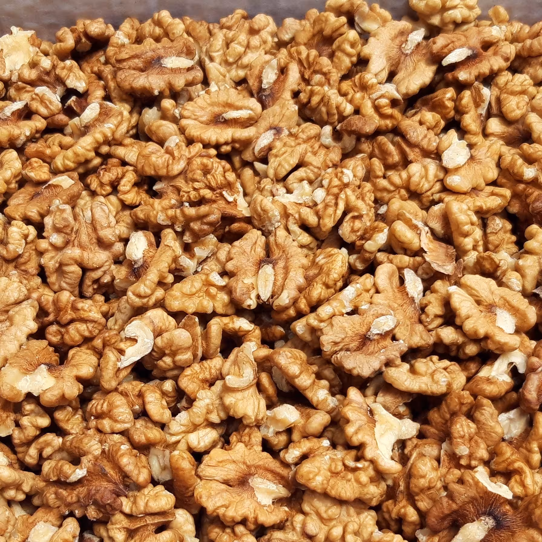 مغزگردو ایرانی 500 گرمی
شارژشد