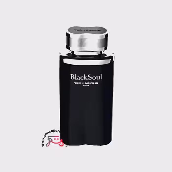 عطر ادکلن تد لاپیدوس بلک سول | ted lapidus black soul