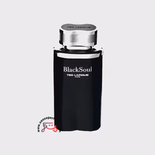 عطر ادکلن تد لاپیدوس بلک سول | ted lapidus black soul