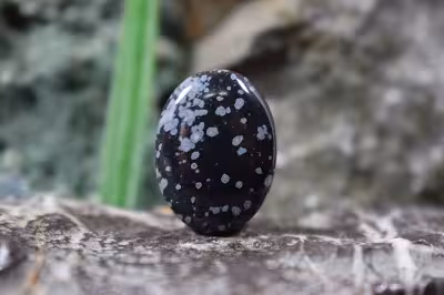 ابسیدین اسنوفلیک