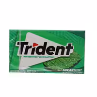 آدامس تریدنت مینی Trident بدون شکر طعم نعنا 14 تایی