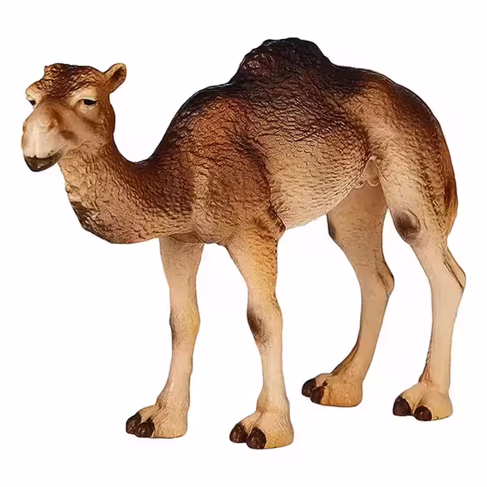 شتر درومدری اشلایش Schleich