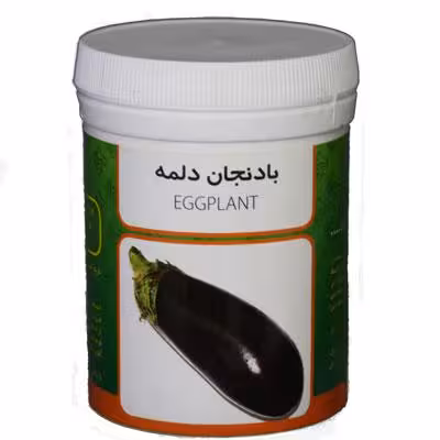 بذر بادمجان دلمه رامان