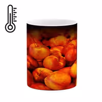 خرید ماگ-لیوان حرارتی   هلو کد mgh14173