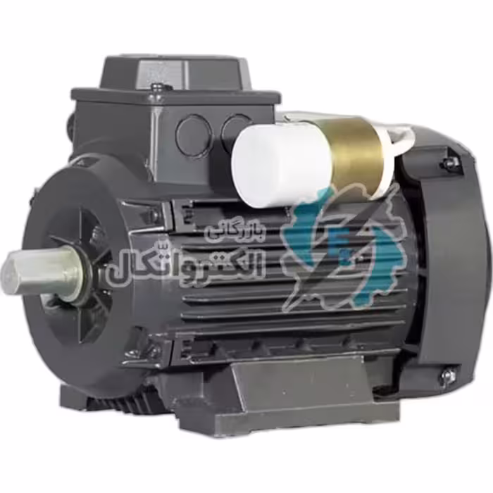 الکتروموتور تکفاز 1/5 اسب موتوژن MOTOGEN رله ایی
