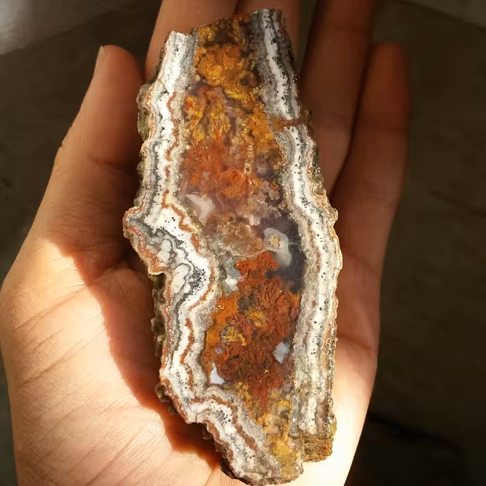 اسلایس سنگ راف شجر دریایی 7رنگ خارق العاده زیبا شاهکار خلقت 100 در 100 طبیعی تکراار نشدنی خارق العاده
تابلو نقاشی طبیعی