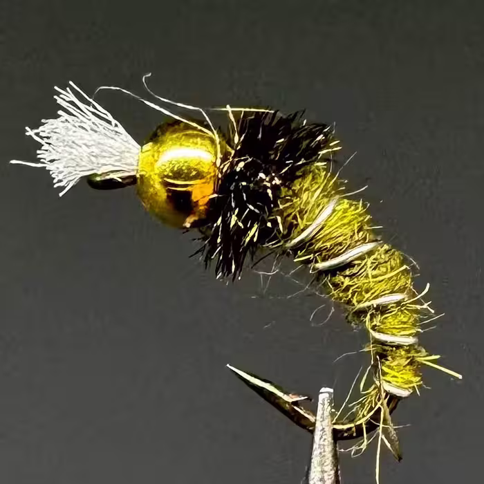 پشه ماهیگیری فلای لارو كديس Caddis larvae (بسته 5 عددی)