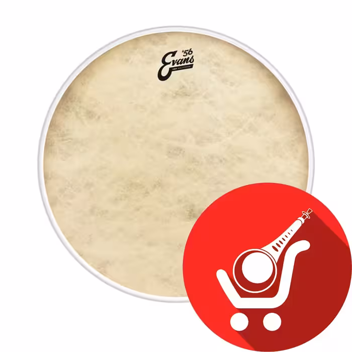 پوست باس درام ایونس 20 اینچ مدل EQ4 calfton