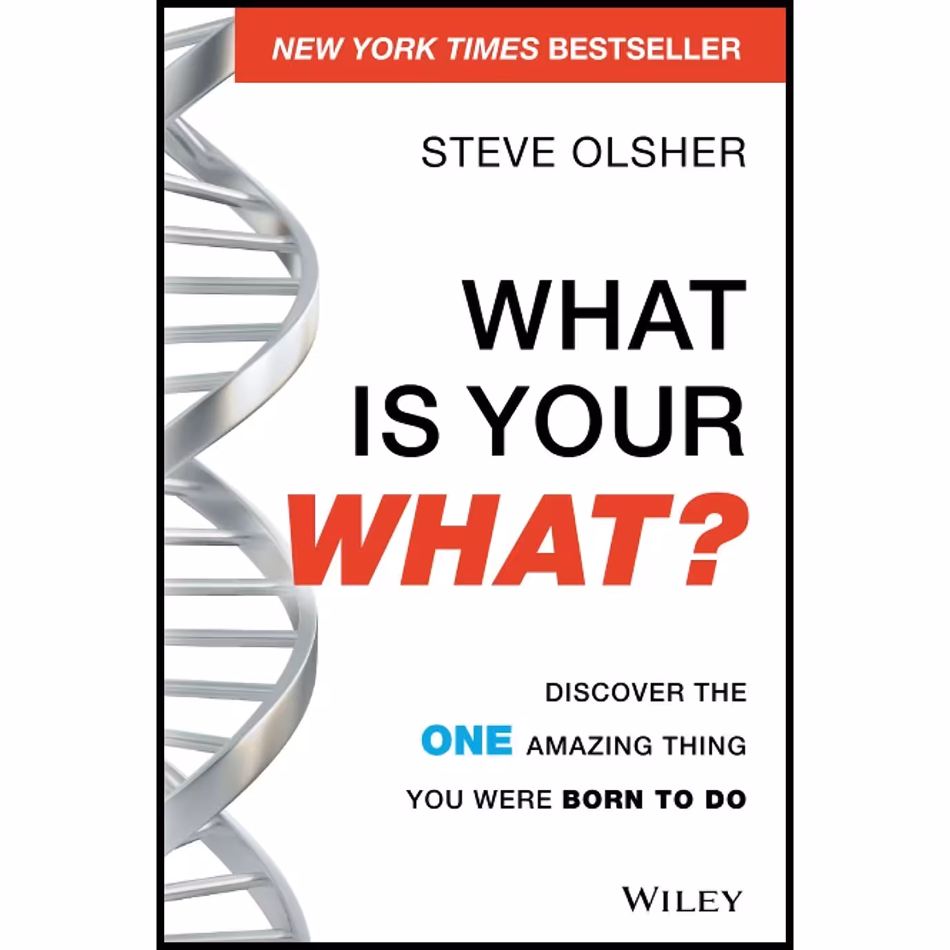کتاب زبان اصلی What Is Your WHAT اثر Steve Olsher and Steve Olsher