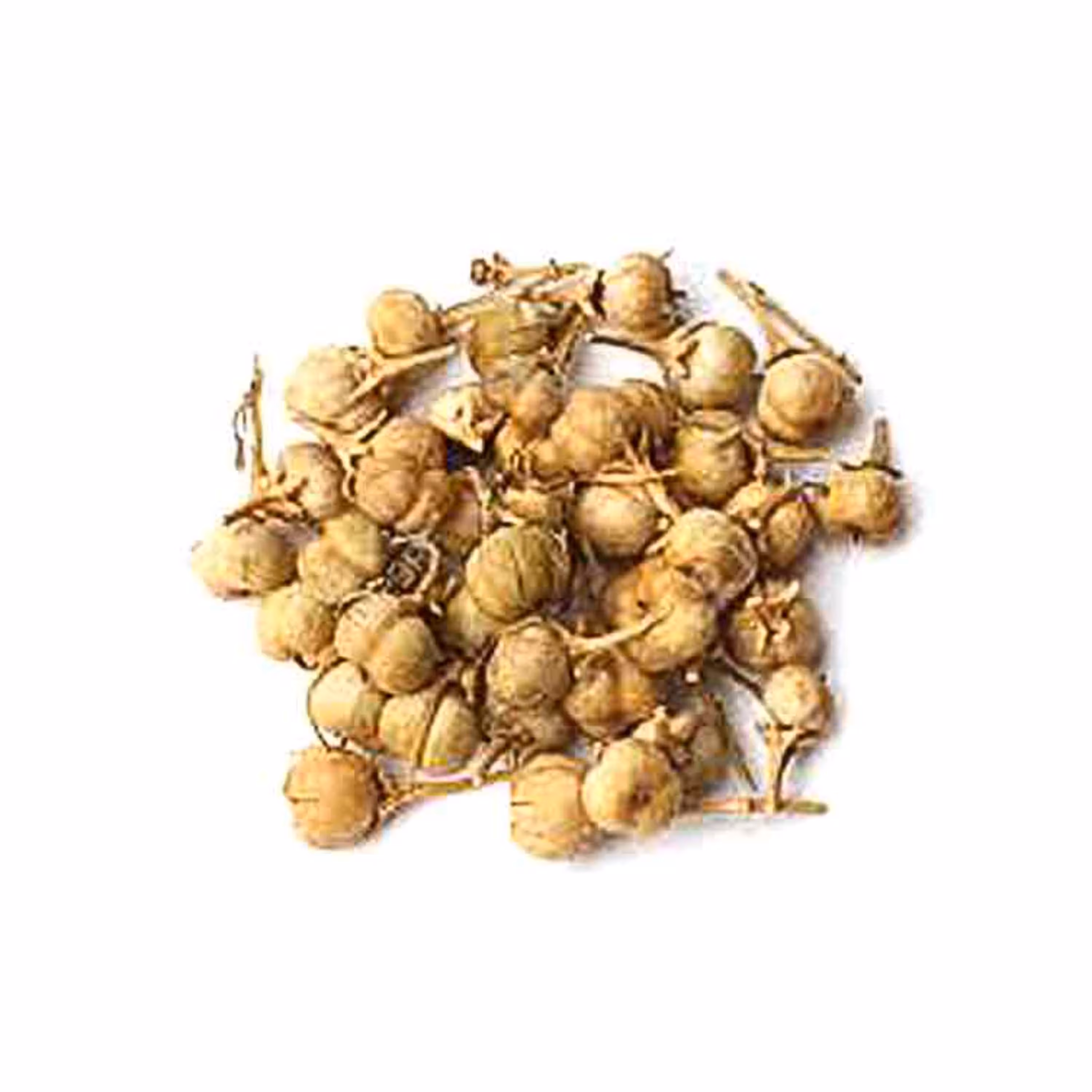 اسفند نخودی ( 200 گرمی ) عطاری نیکو طبیب