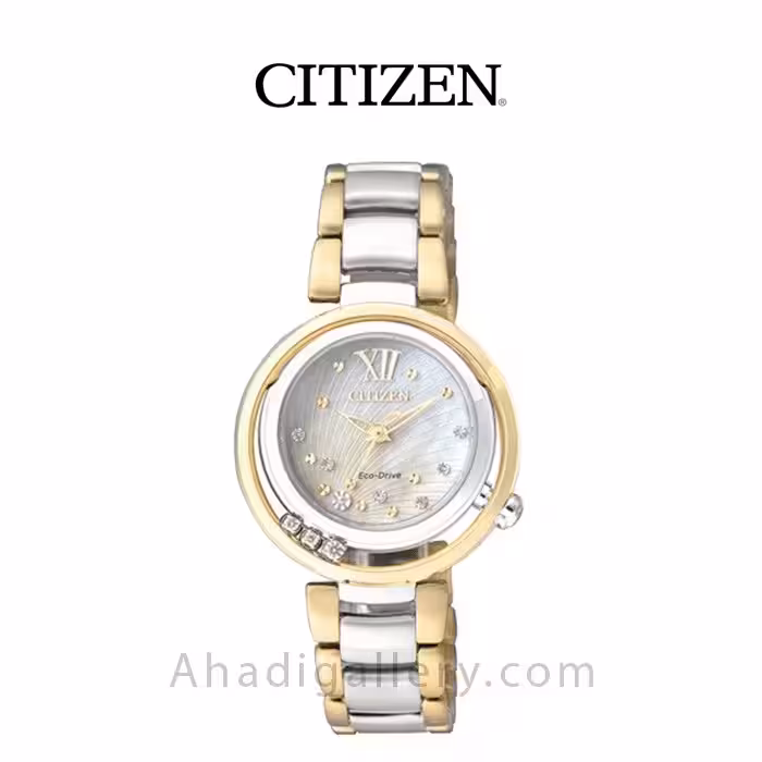 ساعت مچی سیتیزن مدل EM0329-54D