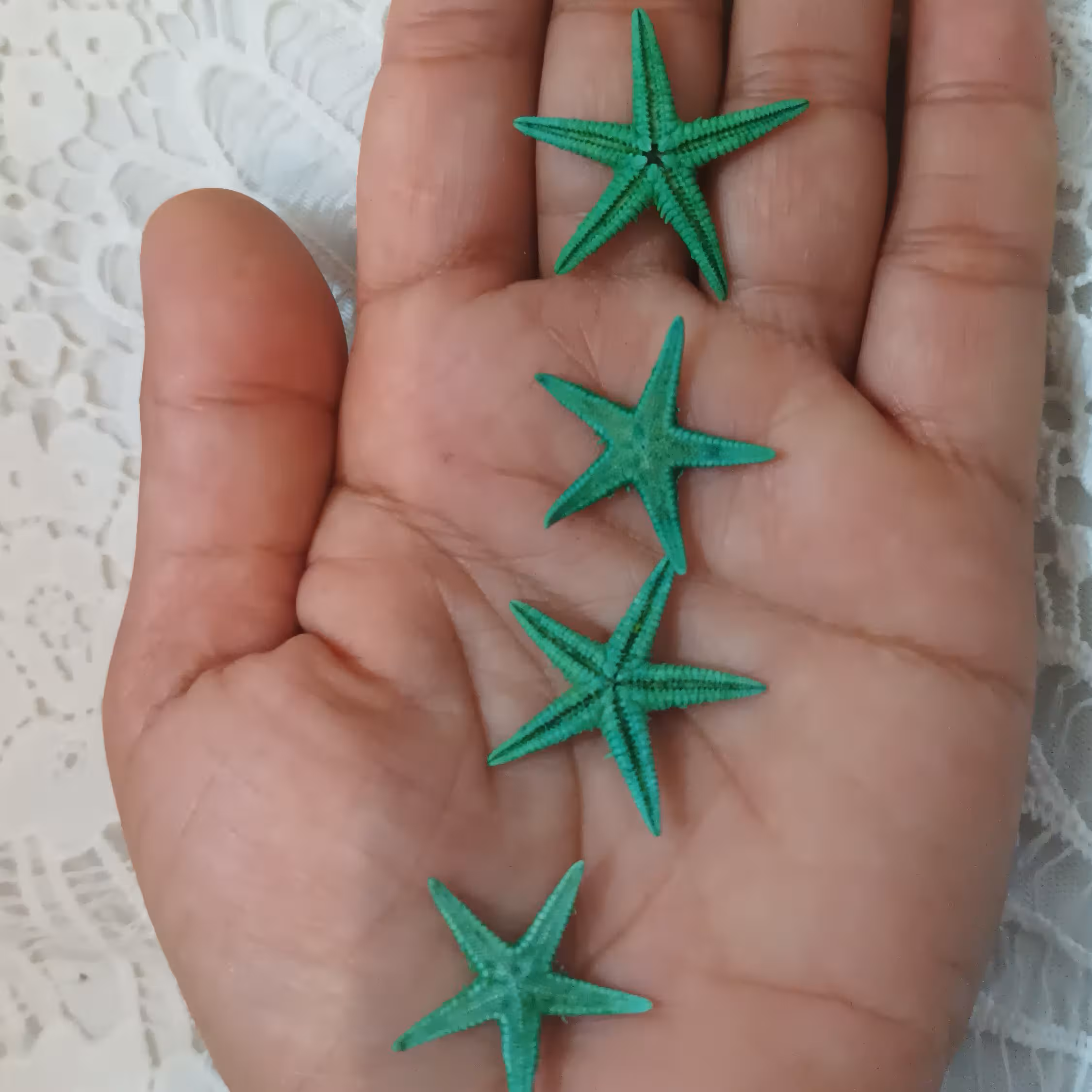 ستاره کوچک طبیعی رنگ شده مناسب شمع، رزین ، تابلو