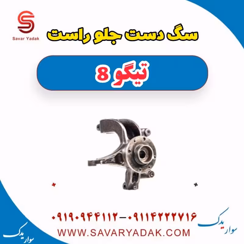 سگ دست جلو راست تیگو 8