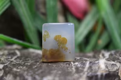 عقیق شجر برزیل