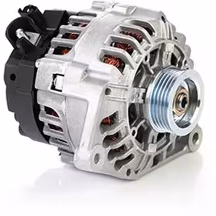 دینام دانگ فنگ – عظام